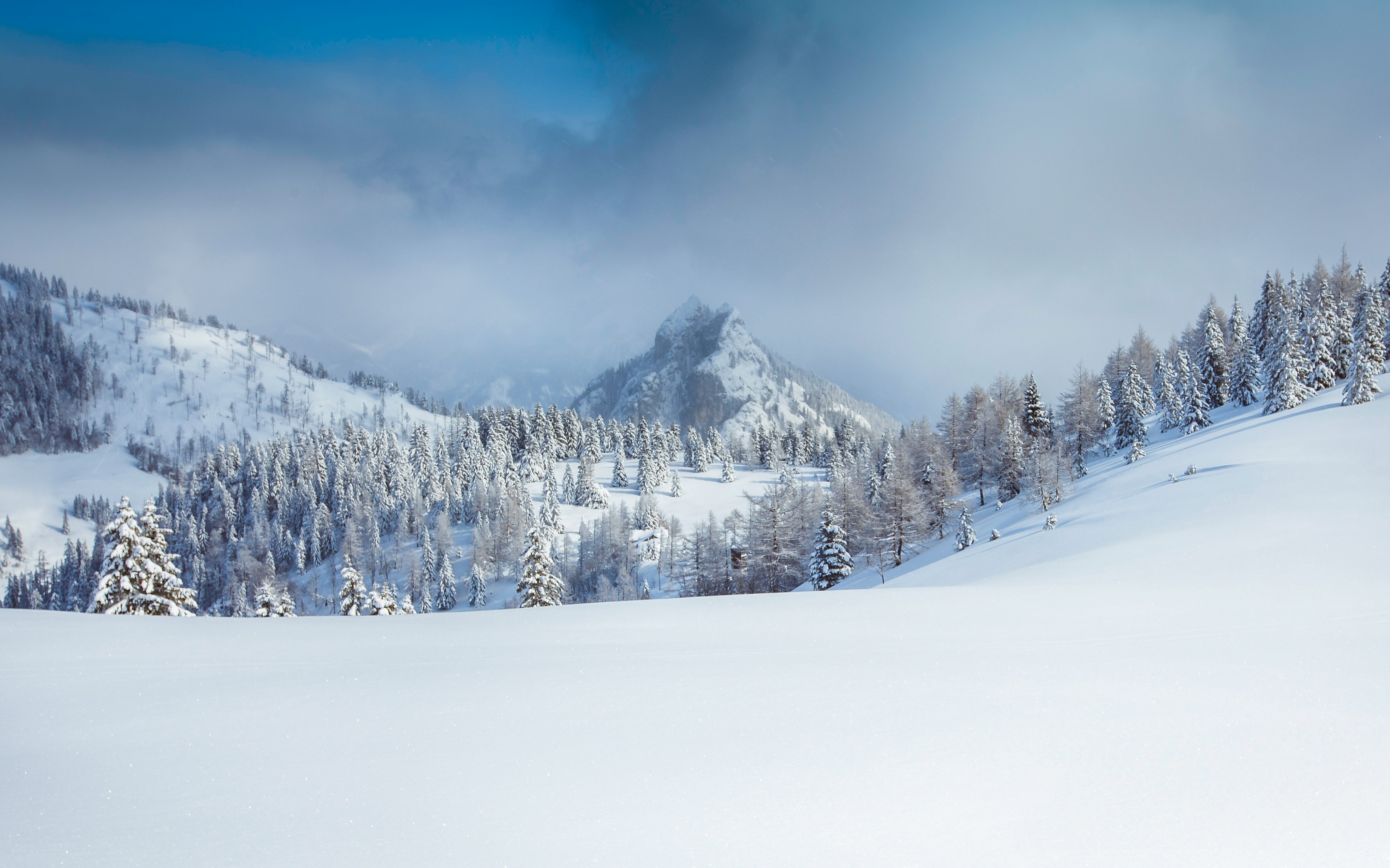 snowy hill and trees at daytime